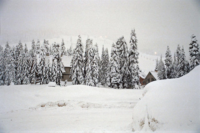 00003 n 16ajptvtbh0590