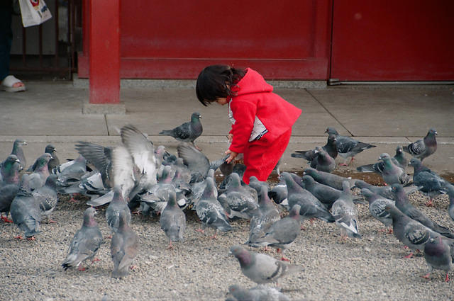 00164 n 16ajptvtbh0751