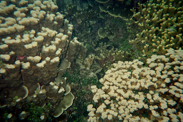 00192 n 16ajptvtbh0779