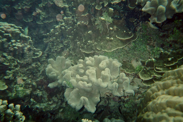 00194 n 16ajptvtbh0781