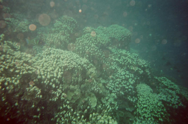 00195 n 16ajptvtbh0782