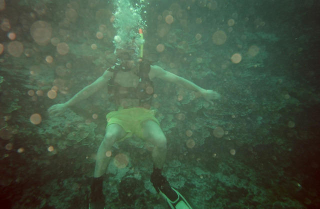 00196 n 16ajptvtbh0783