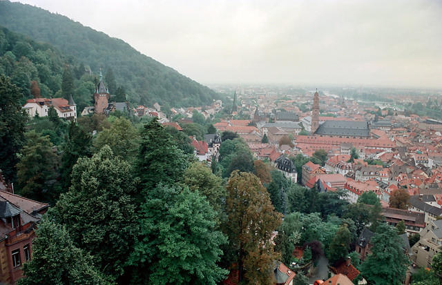 00213 n 16ajptvtbh0800