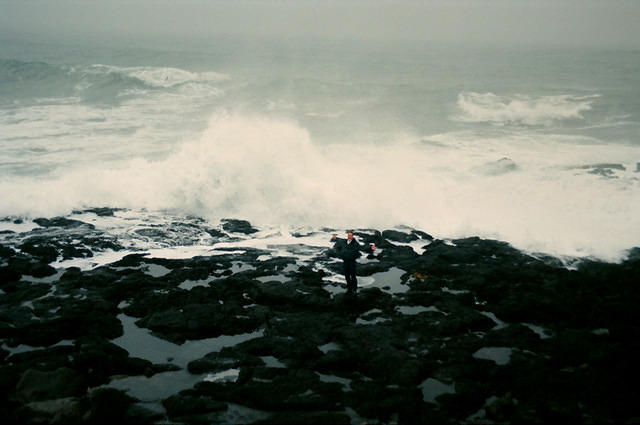 00549 n 16ajptvtbh1136 b