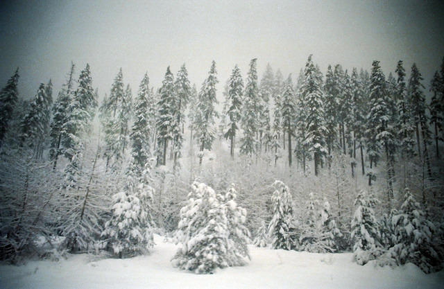 00676 n 16ajptvtbh1263 z