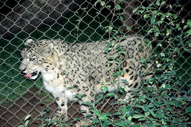 00678 n 16ajptvtbh1265