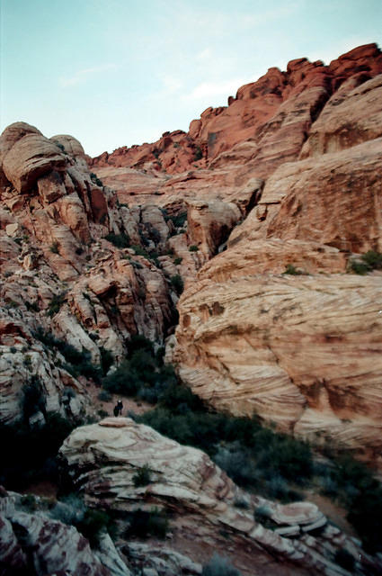 00704 n 16ajptvtbh1291 b