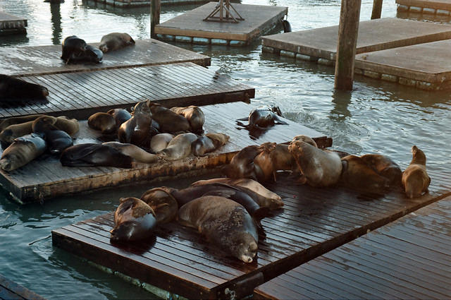 00770 n 16ajptvtbh1357