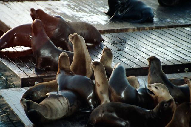 00772 n 16ajptvtbh1359