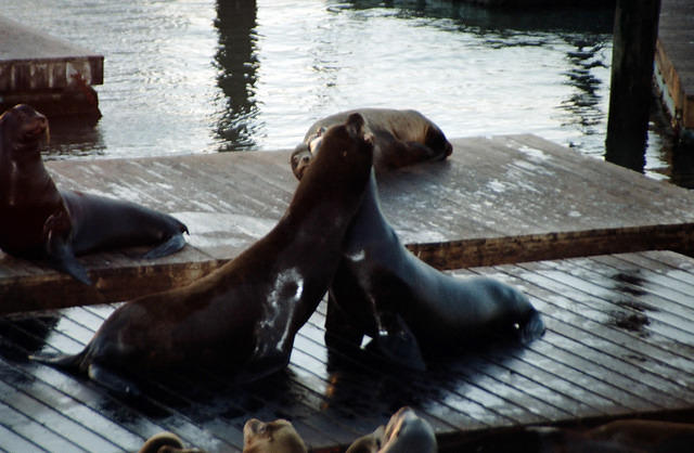 00773 n 16ajptvtbh1360 b