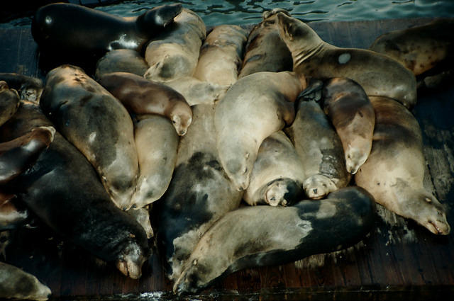 00776 n 16ajptvtbh1363