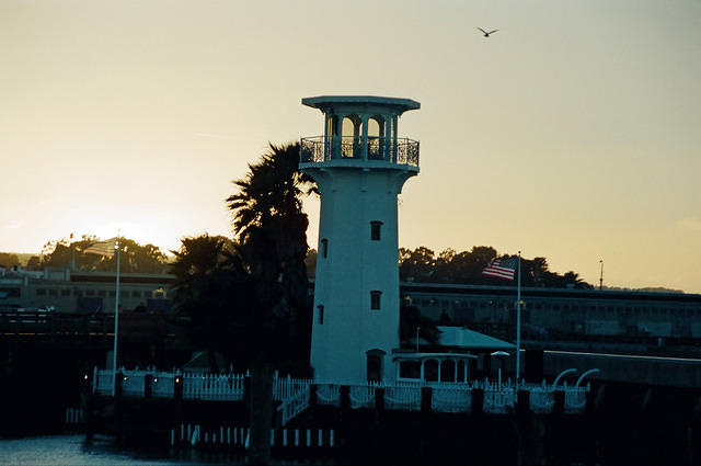 00778 n 16ajptvtbh1365