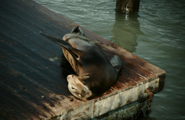 00783 n 16ajptvtbh1370