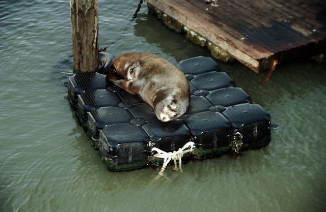 00785 n 16ajptvtbh1372