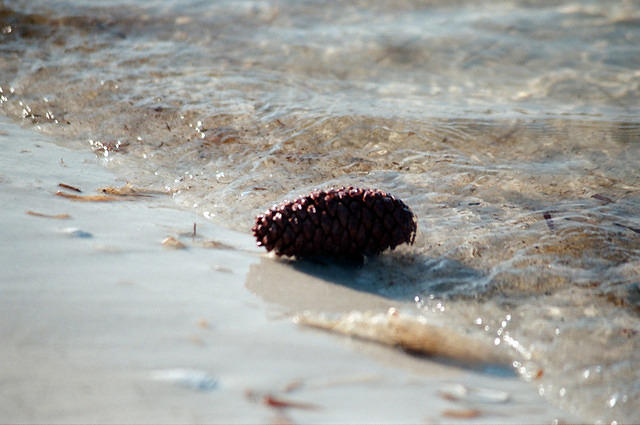 00796 n 16ajptvtbh1383