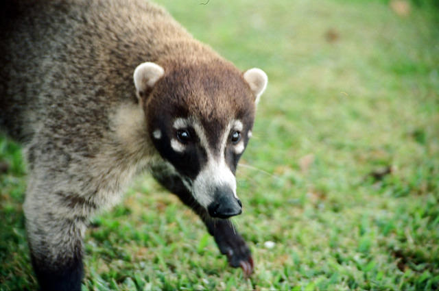 00861 n 16ajptvtbh1448