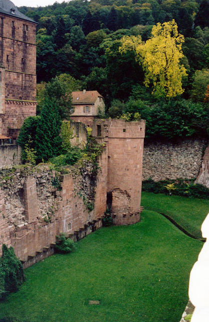 01144 p 16ajptvtbh0130