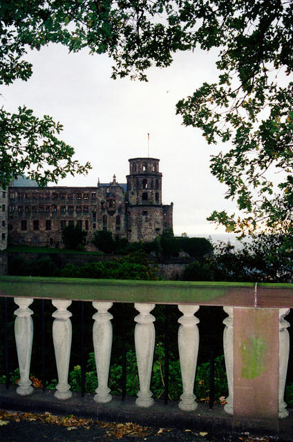 01145 p 16ajptvtbh0131