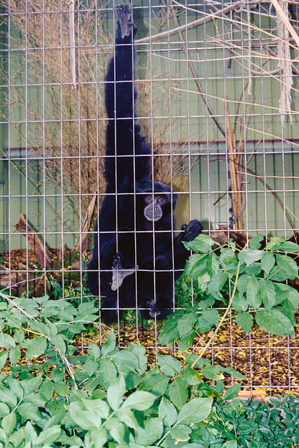 01151 p 16ajptvtbh0137