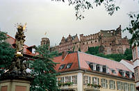 00216 n 16ajptvtbh0803