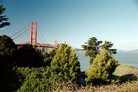 00731 n 16ajptvtbh1318