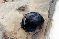 01147 p 16ajptvtbh0133