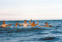 01459 p 16ajptvtbh0445