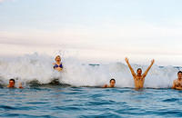 01460 p 16ajptvtbh0446