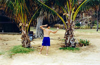 01488 p 16ajptvtbh0474