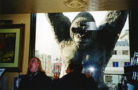 01511 p 16ajptvtbh0497